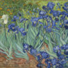 van Gogh, Irises (1889)
