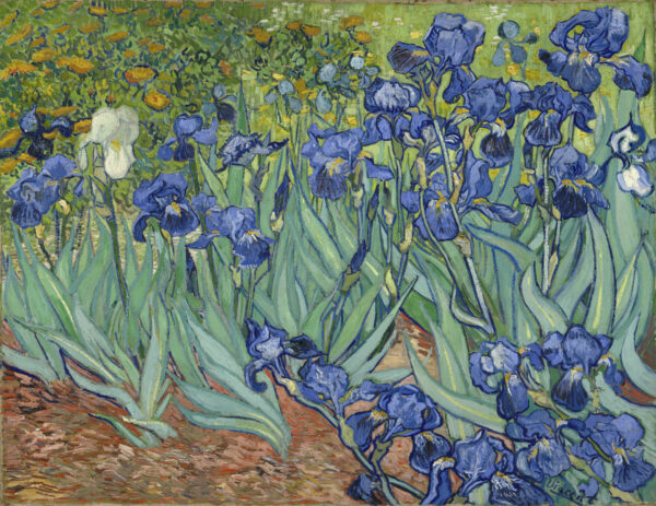 van Gogh, Irises (1889)
