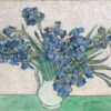 van Gogh. Irises (1890)